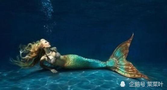 吃瓜美人鱼视频大全,揭秘水下明星们的趣味瞬间