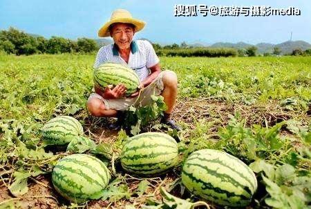 安新县最近的吃瓜视频,揭秘当地生活百态