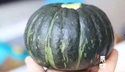 小朋友吃贝贝瓜了视频,小朋友欢乐品尝贝贝瓜视频曝光