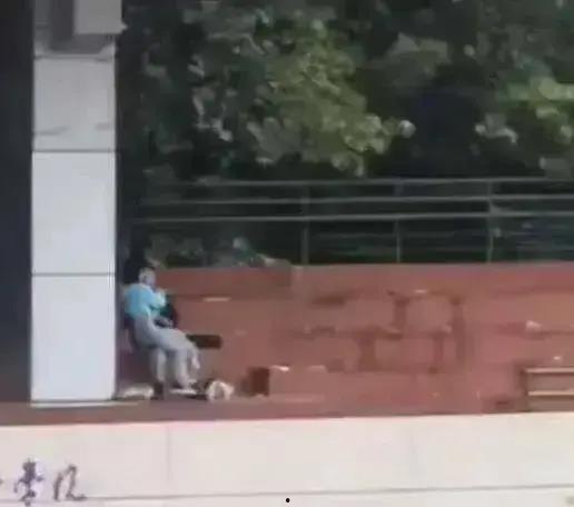 西安吃瓜事件视频,一场网络热议的街头冲突揭秘